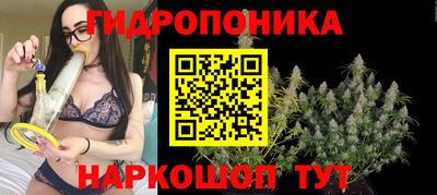 тгк Кандалакша