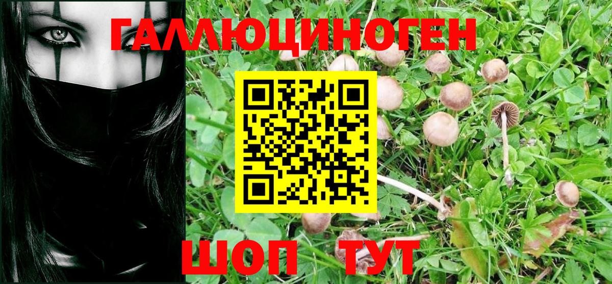 Красный Сулин  Галлюциногенные грибы MAGIC MUSHROOMS  Вход с VPN  Псилоцибиновые грибы Psilocybine cubensis 