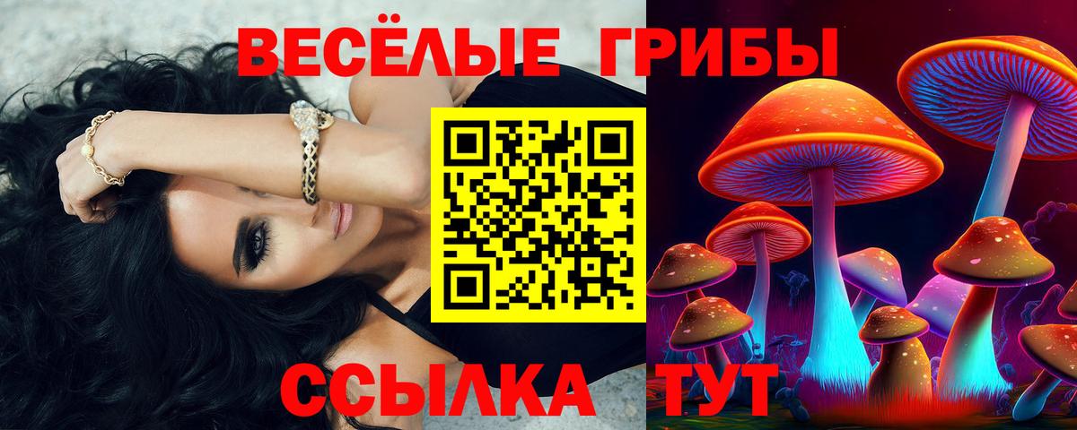 Псилоцибиновые грибы мицелий Красный Сулин